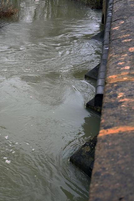 7. Under the bridge,  January 12.jpg